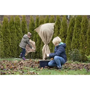 WIE GEHT...WINTERSCHUTZ?