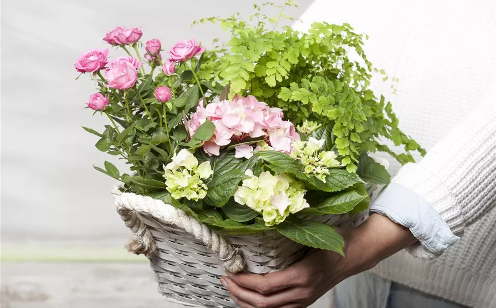 Kreative Ideen - Gutschein selbst gestalten Kreative Ideen - Gutschein selbst gestalten