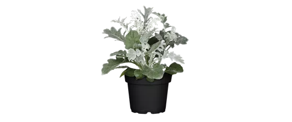 EIN KUNTERBUNTER HERBST! EIN KUNTERBUNTER HERBST!