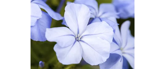 EIN KUNTERBUNTER HERBST! EIN KUNTERBUNTER HERBST!