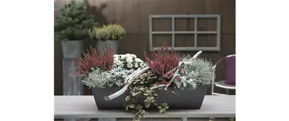 EIN KUNTERBUNTER HERBST! EIN KUNTERBUNTER HERBST!