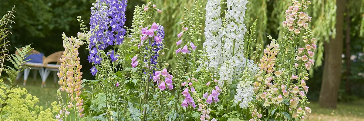 SONNENGARTEN! 