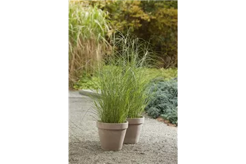 DER HERBST STEHT VOR DER TÜR! 