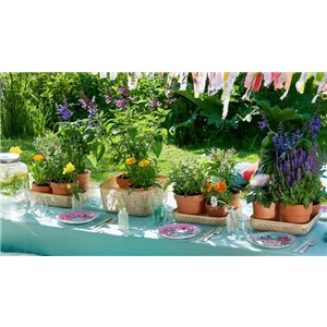 BUNTER SOMMER!