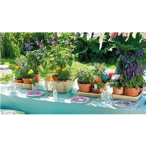 BUNTER SOMMER!
