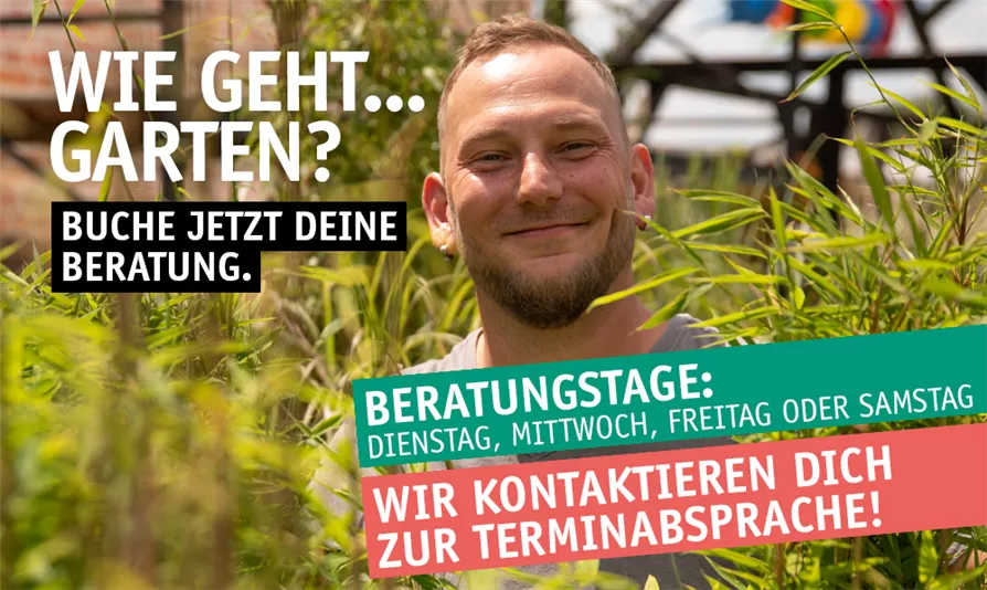 WIE GEHT...GARTEN? 