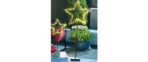 LICHTBLICKE IM WINTER-GARTEN! LICHTBLICKE IM WINTER-GARTEN!