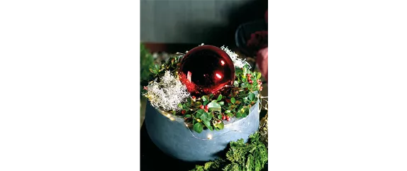 LICHTBLICKE IM WINTER-GARTEN! LICHTBLICKE IM WINTER-GARTEN!