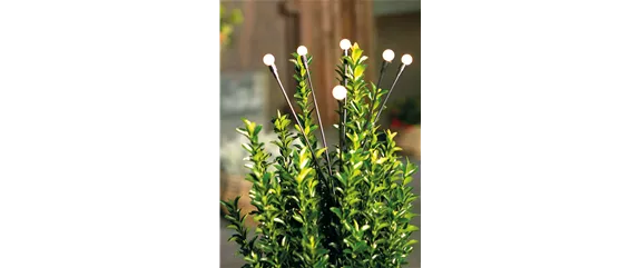 LICHTBLICKE IM WINTER-GARTEN! LICHTBLICKE IM WINTER-GARTEN!