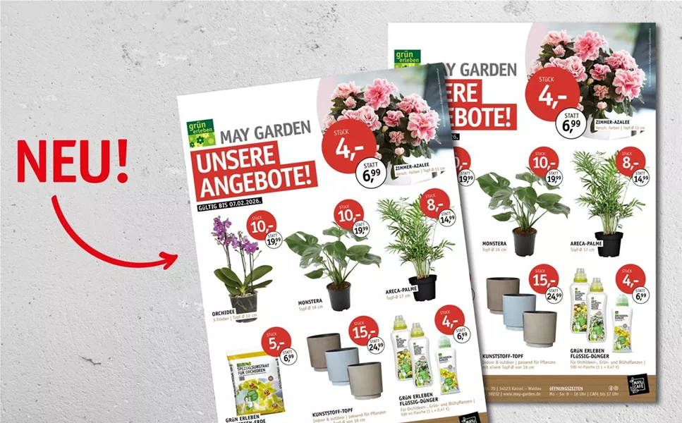 Gültigkeit 27.01.-07.02.2026 - Unsere Knaller!