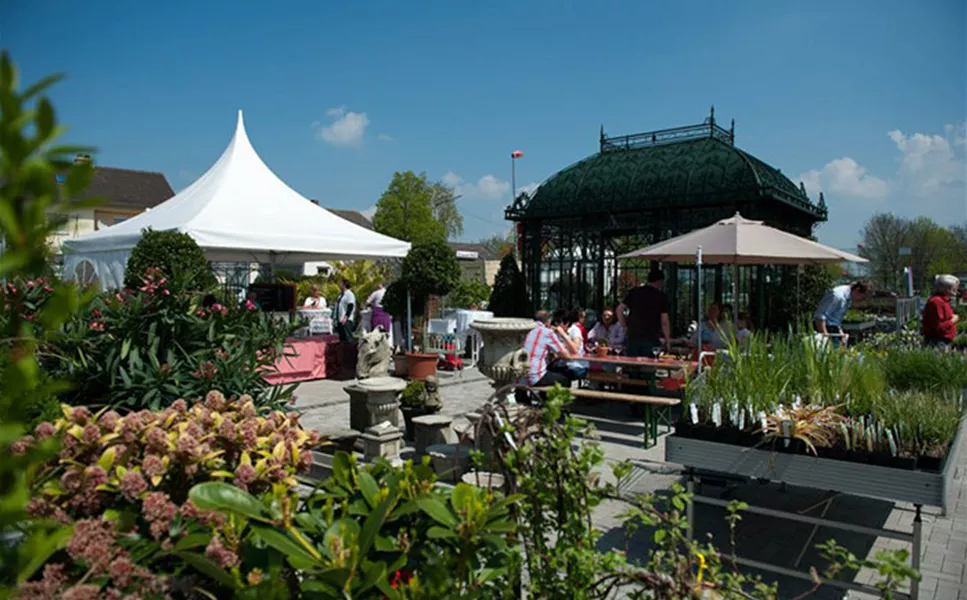 LEISTUNGEN - Meisterfloristik