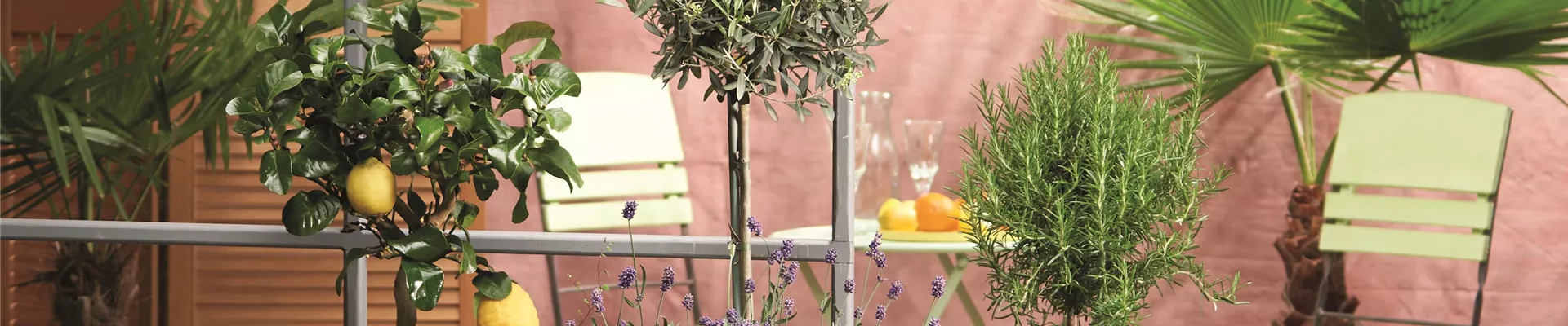 MEDITERRANER FLAIR! 
