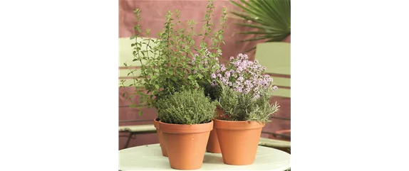 MEDITERRANER FLAIR! 