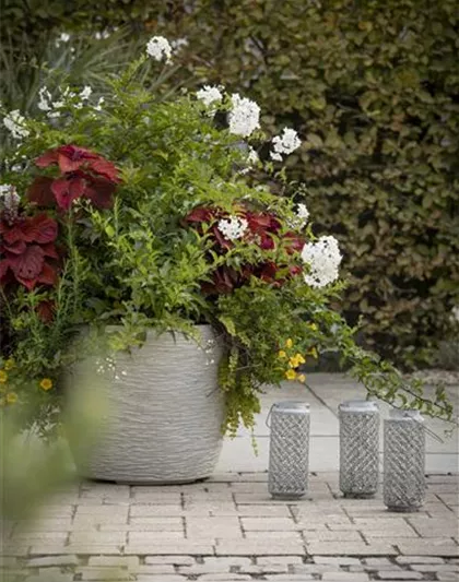 KüBEL WINTERFEST MACHEN KüBEL WINTERFEST MACHEN